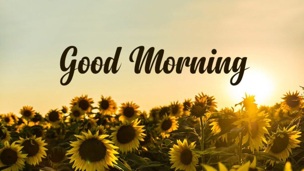 Günaydın Komik Sözler: Neşeli Bir Güne Uyanmanın Sırrı